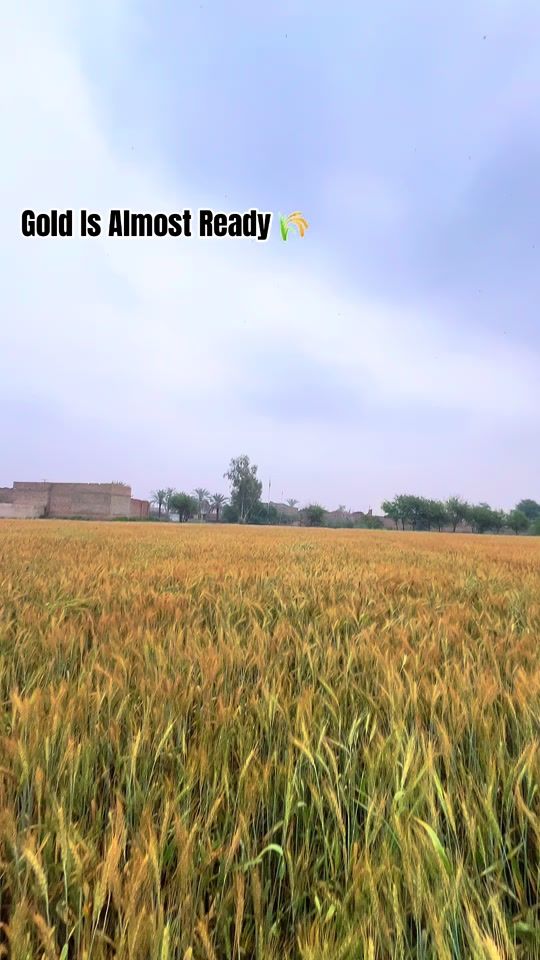 TikTok video thumbnail by itxsaeed08
