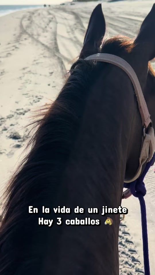 TikTok video thumbnail by jesusd201098