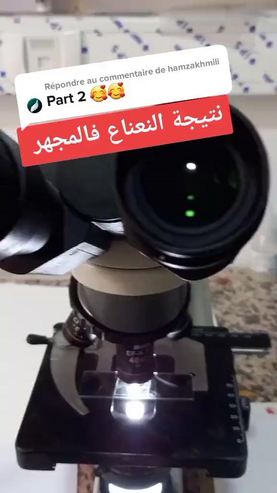 TikTok video thumbnail by walidsanteetlabo