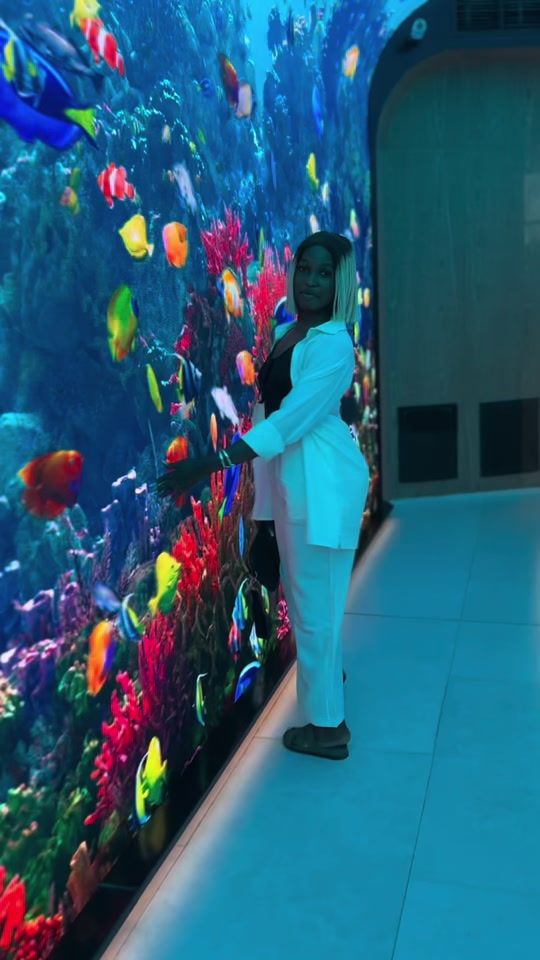 TikTok video thumbnail by nolybusiness
