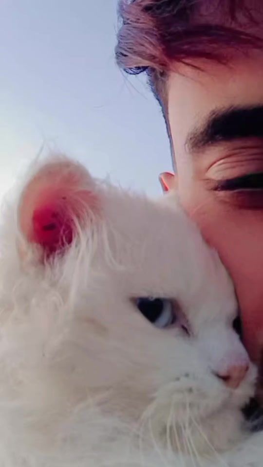 TikTok video thumbnail by marwan_ismaill