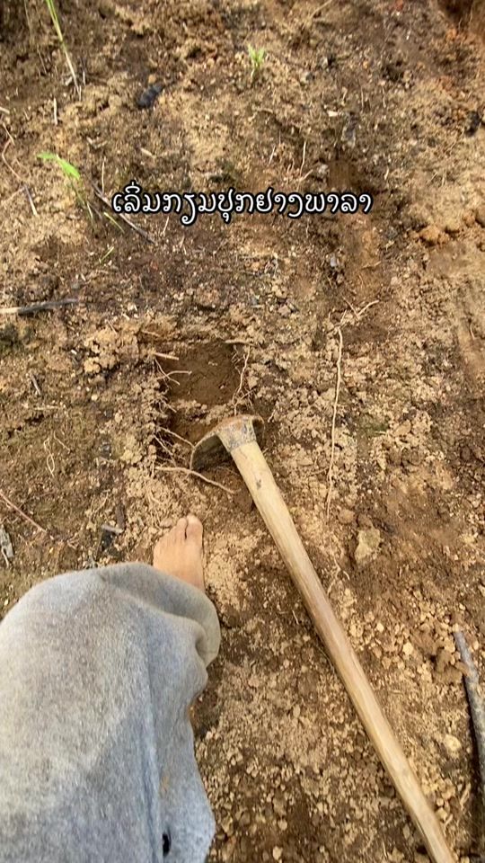 TikTok video thumbnail by sylaowhung0