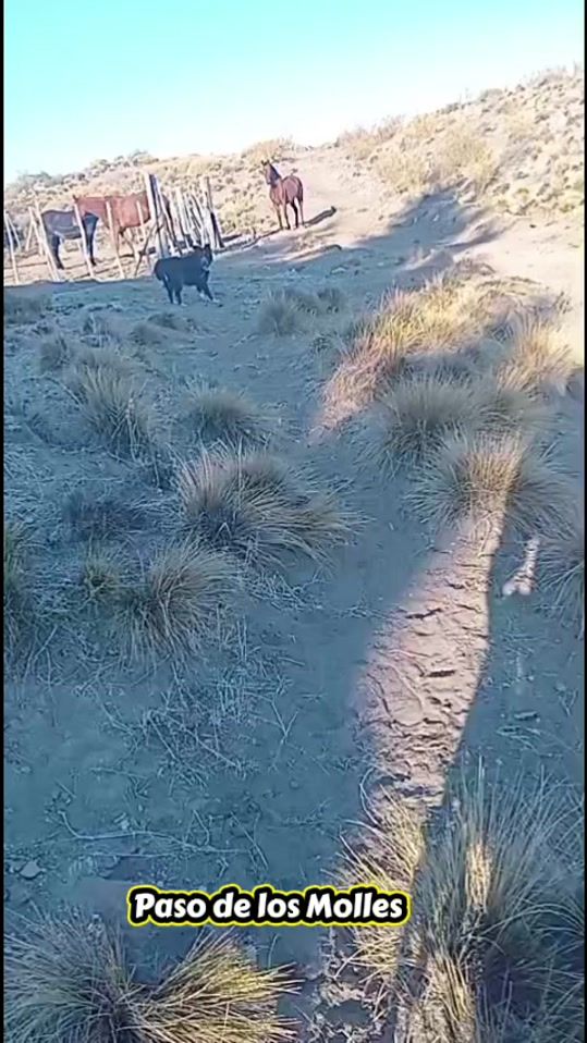 TikTok video thumbnail by beel_antimil_
