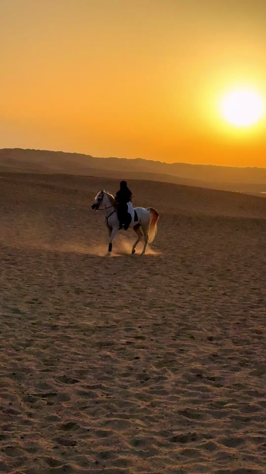 TikTok video thumbnail by basant_allam