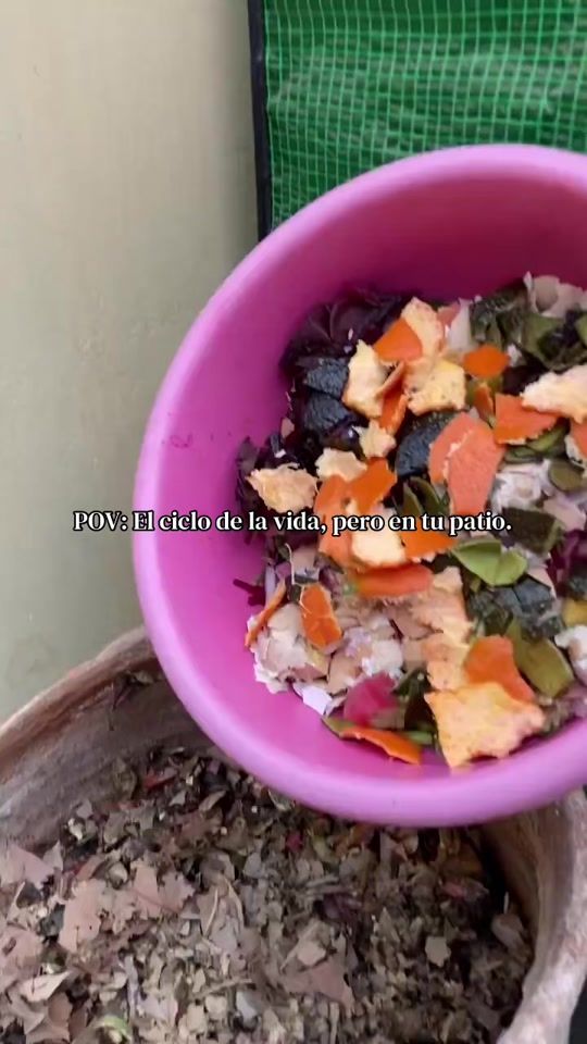 TikTok video thumbnail by tikray.compost
