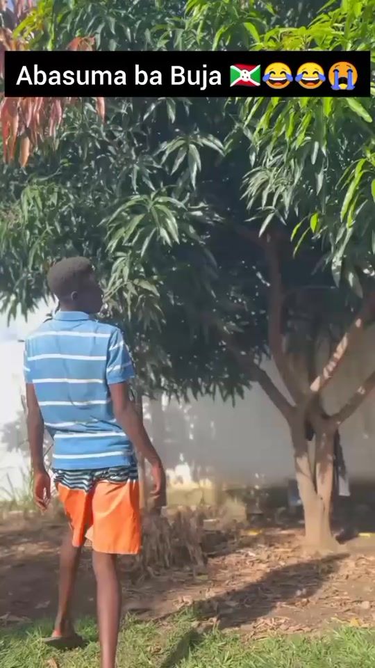 TikTok video thumbnail by intelligent_le_comedien