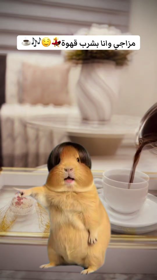 TikTok video thumbnail by ayatmaje