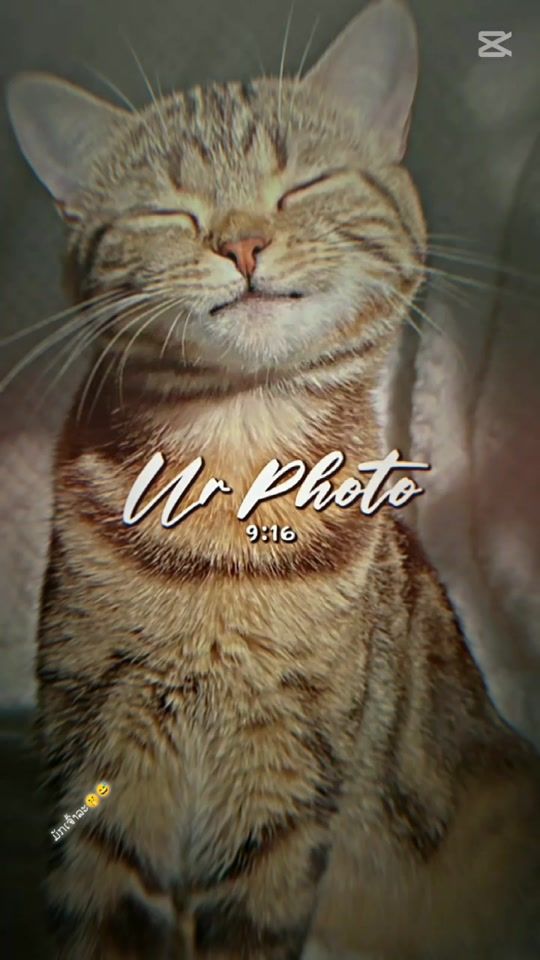 TikTok video thumbnail by aibtoojthoj