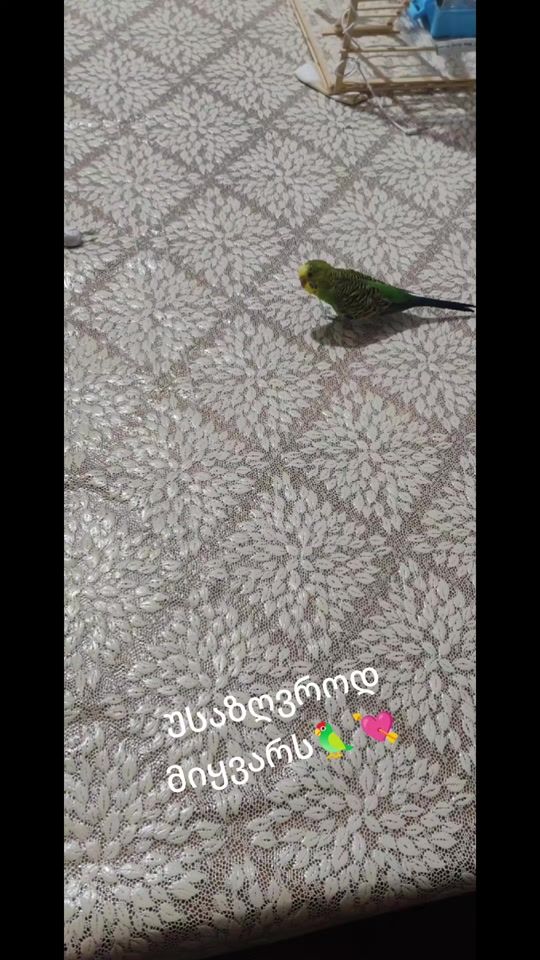 TikTok video thumbnail by natianuk