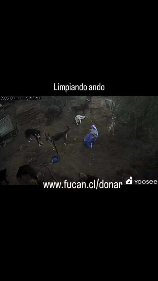 TikTok video thumbnail by fucanchile
