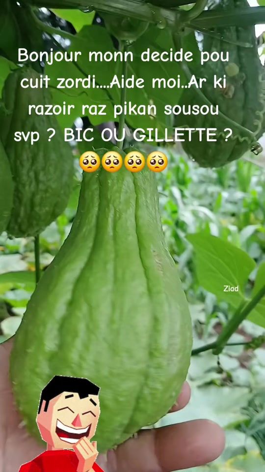TikTok video thumbnail by userziadmohammad52