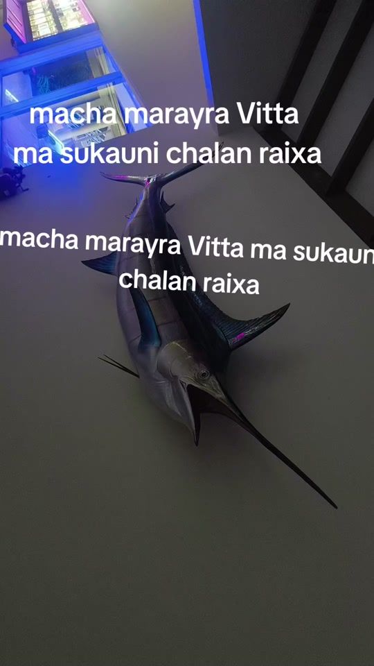 TikTok video thumbnail by sujan0062