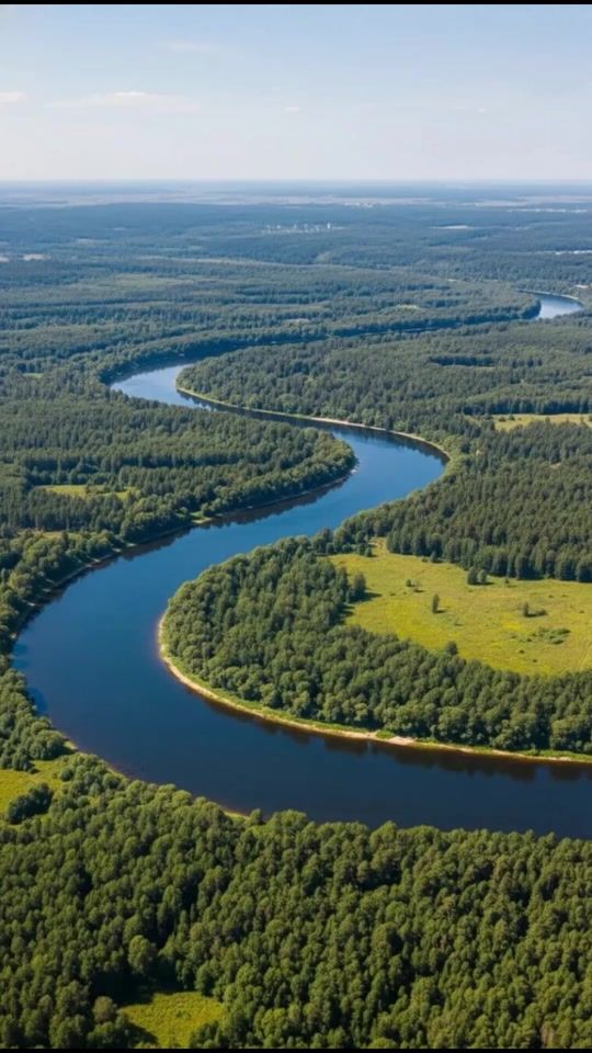 TikTok video thumbnail by netolkostroika