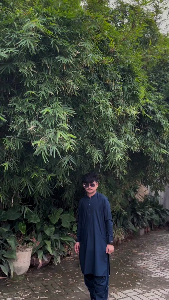 TikTok video thumbnail by gulab___khan110