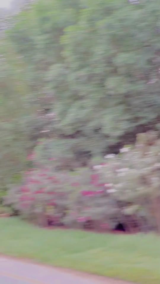 TikTok video thumbnail by srkar.g