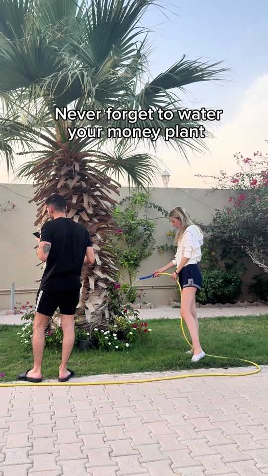 TikTok video thumbnail by joyrenno