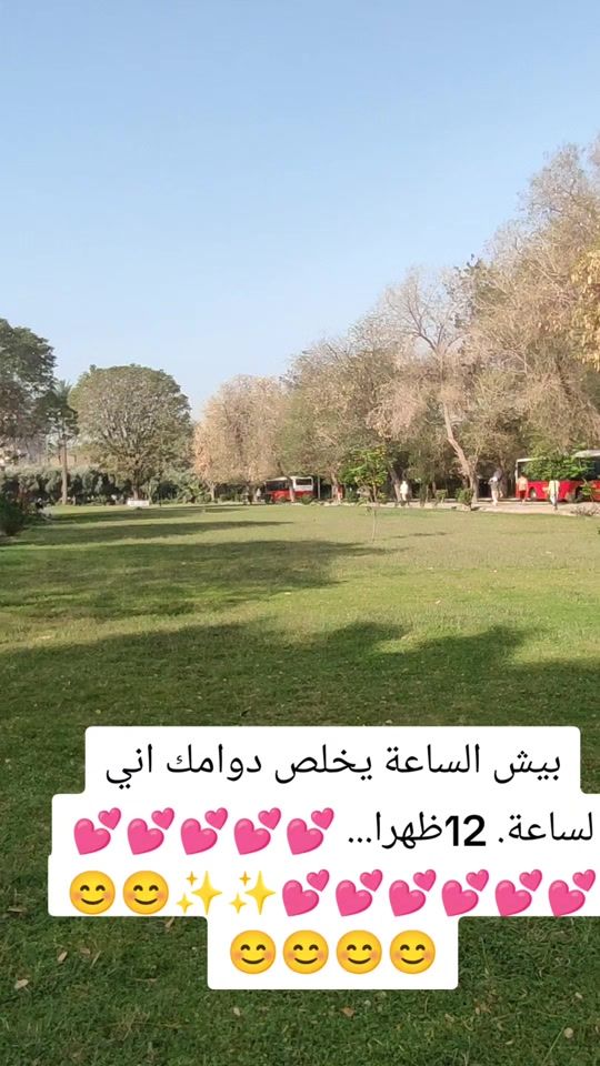 TikTok video thumbnail by sh13161
