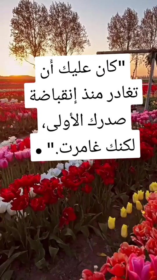 TikTok video thumbnail by jawhra235