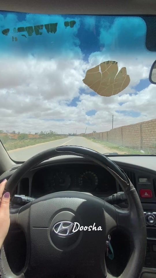 TikTok video thumbnail by dododoosha0