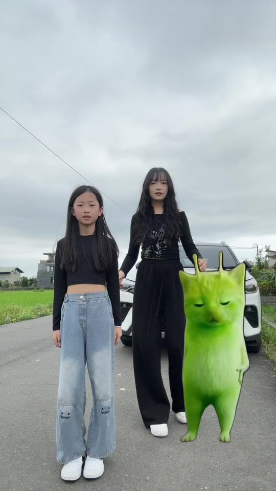 TikTok video thumbnail by weishan__