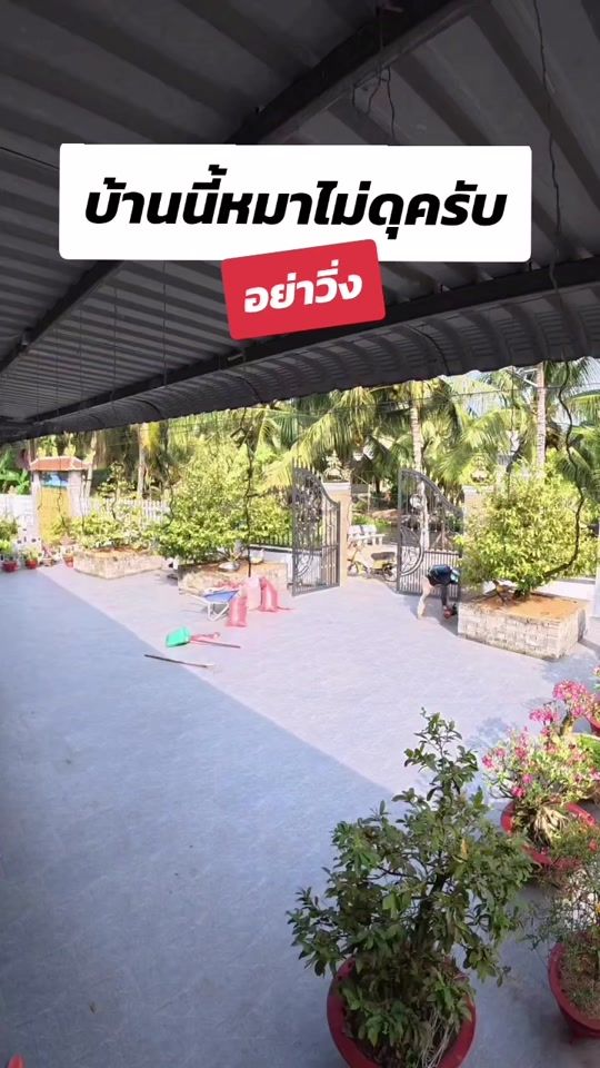 TikTok video thumbnail by langkypark