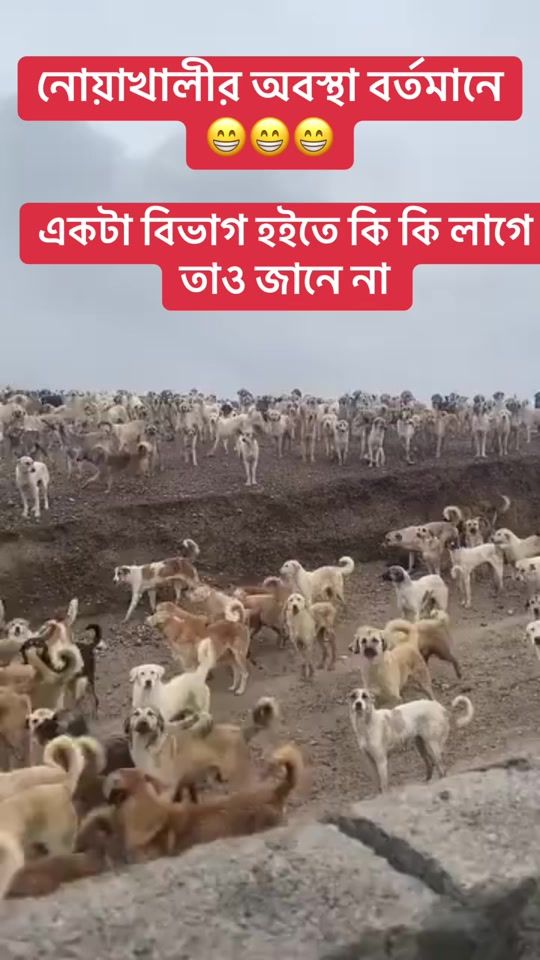 TikTok video thumbnail by shah_parn__
