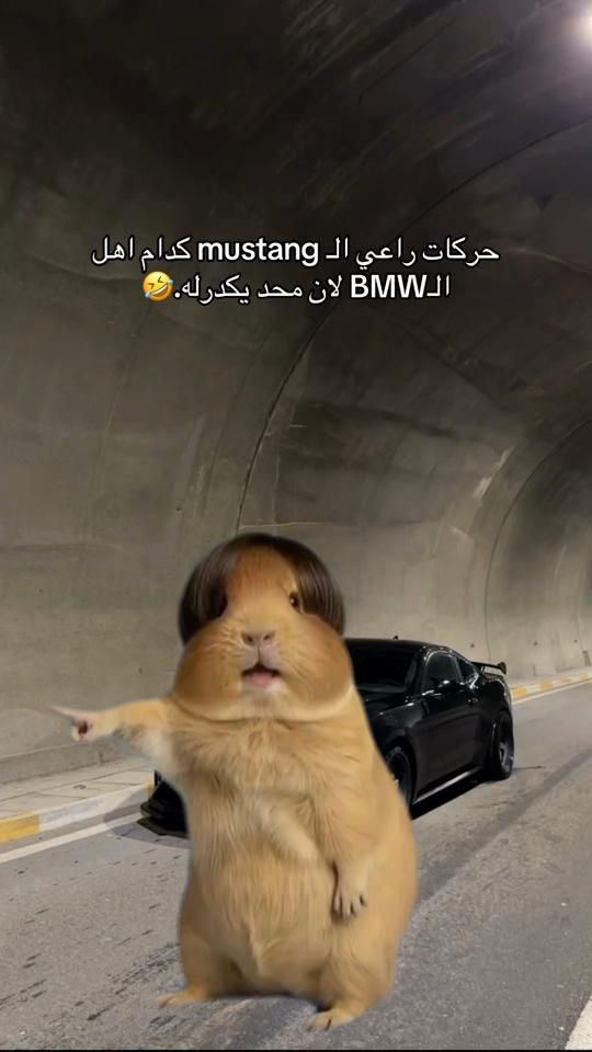 TikTok video thumbnail by ali_aref99