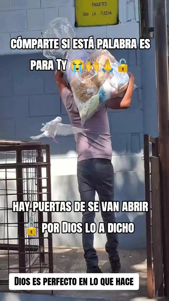 TikTok video thumbnail by ministro_vindel