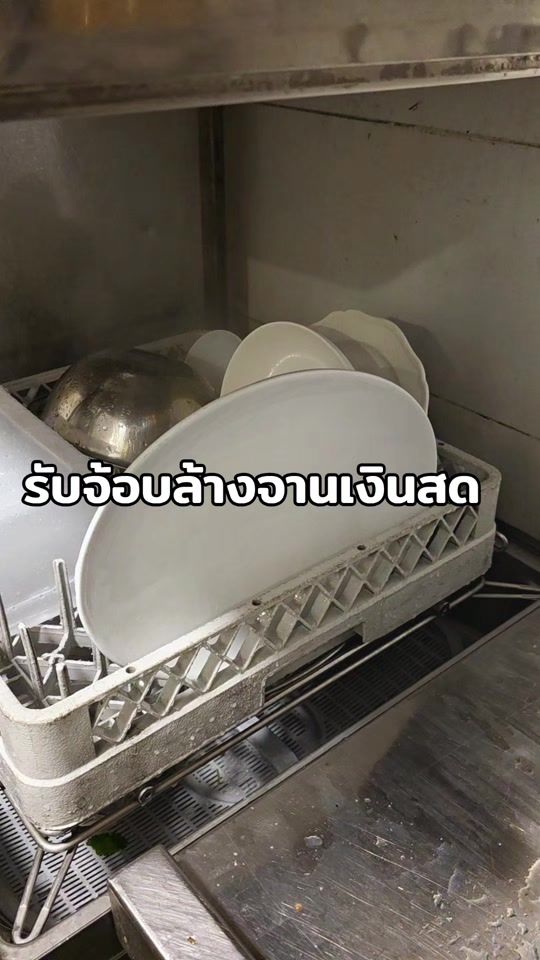 TikTok video thumbnail by user19ffzuqanc