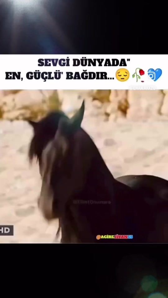 TikTok video thumbnail by ilhan3443