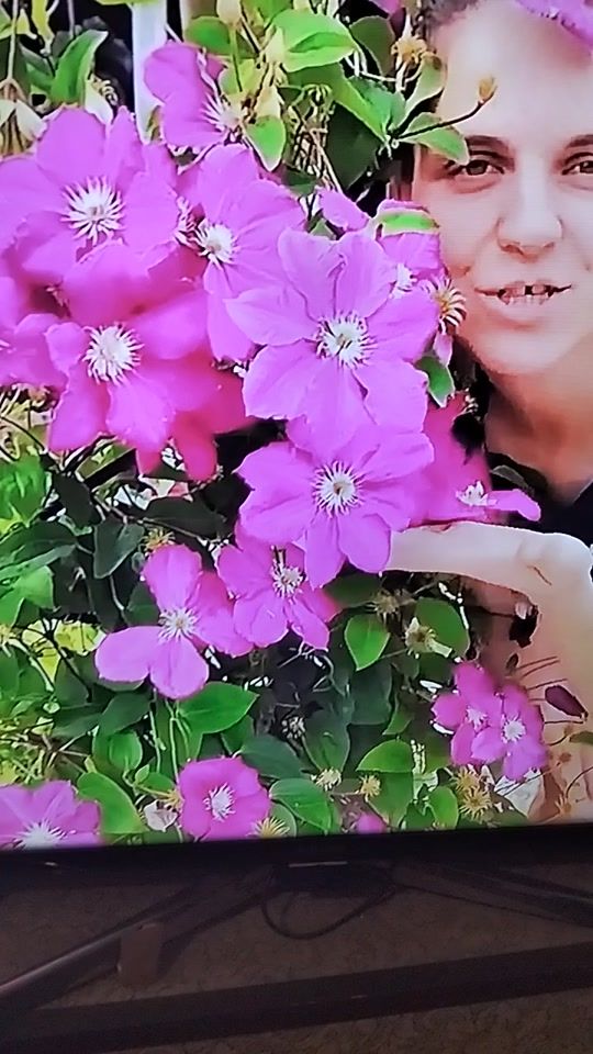 TikTok video thumbnail by seker1955