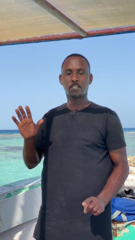 TikTok video thumbnail by hammode.590