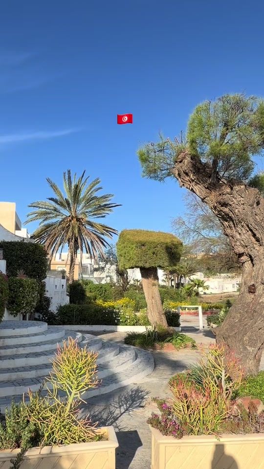 TikTok video thumbnail by maissazgueb