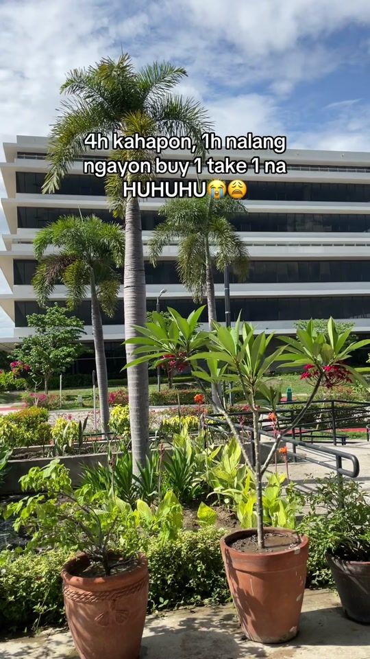 TikTok video thumbnail by calixshop18