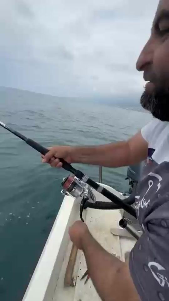 TikTok video thumbnail by alisabra71