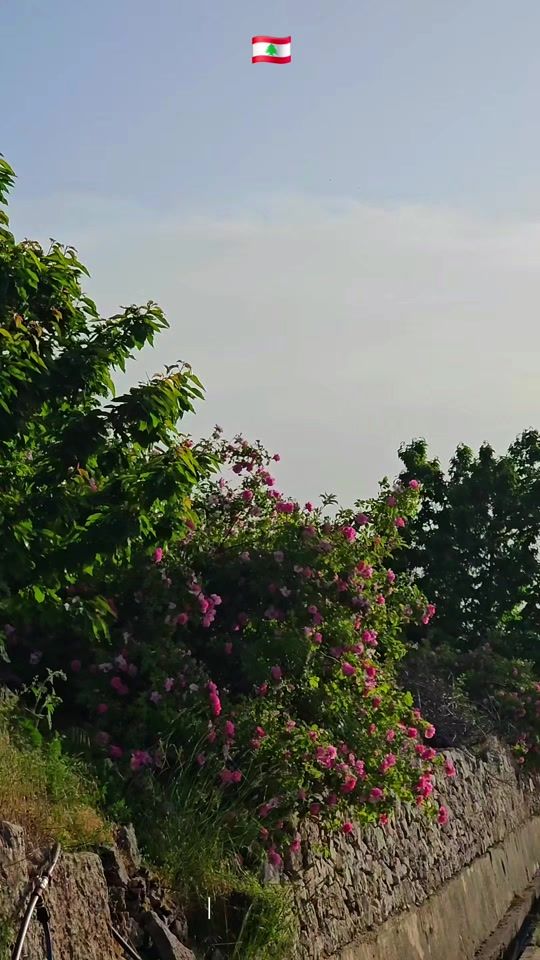 TikTok video thumbnail by thehunter_92