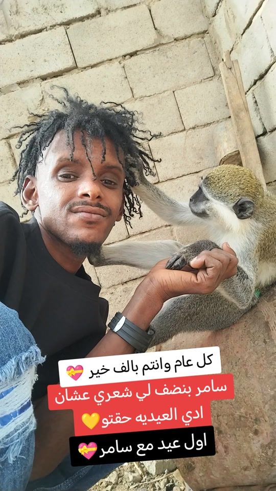 TikTok video thumbnail by user3811911327153