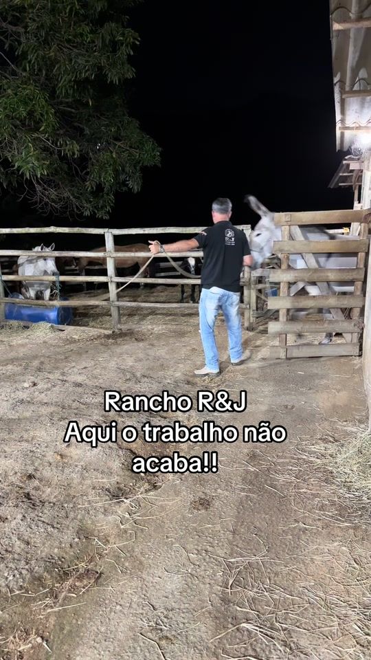 TikTok video thumbnail by preto_pinto