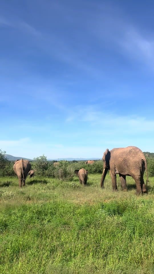 TikTok video thumbnail by stejostours