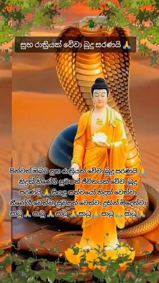 TikTok video thumbnail by sampathjanaka237