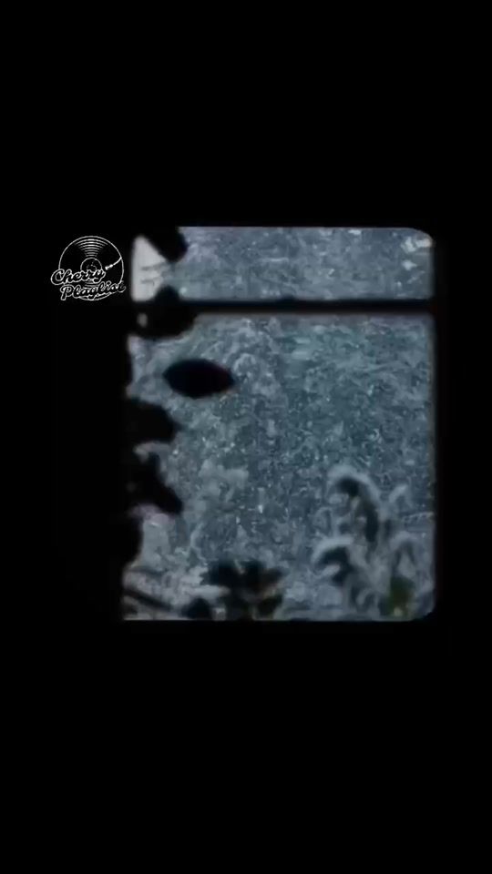 TikTok video thumbnail by cherryplaylist