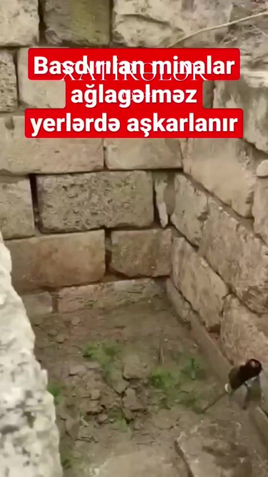 TikTok video thumbnail by maqa_02_86