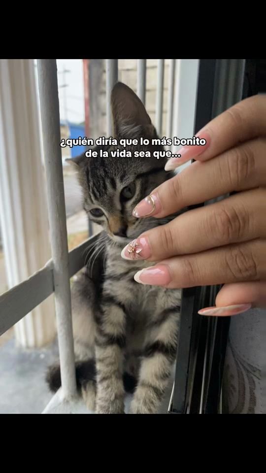 TikTok video thumbnail by annygil03
