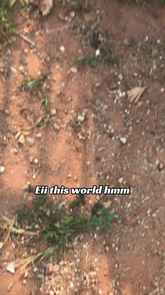 TikTok video thumbnail by mr.b.o.g