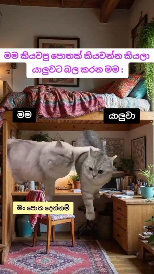 TikTok video thumbnail by imoto62