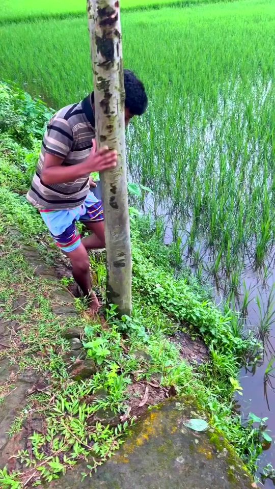 TikTok video thumbnail by tanvirahmed2052