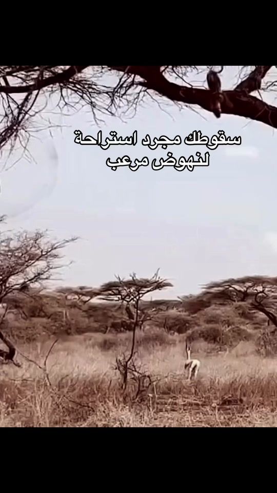 TikTok video thumbnail by mamdouhelbehary2