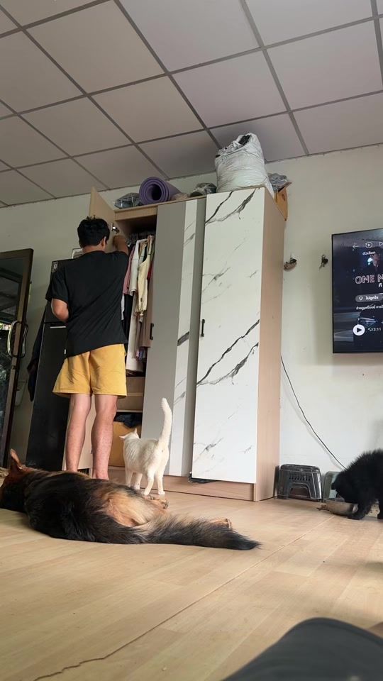 TikTok video thumbnail by thepara7