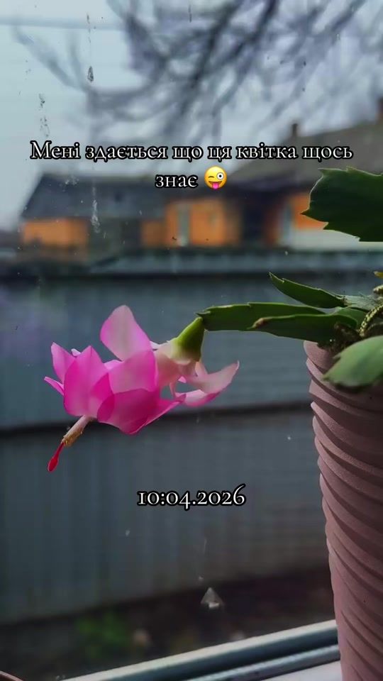 TikTok video thumbnail by __princeska_13_