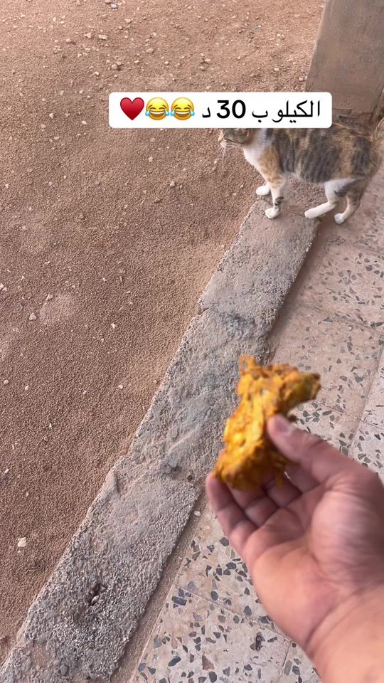 TikTok video thumbnail by ghaith_alwrfally2
